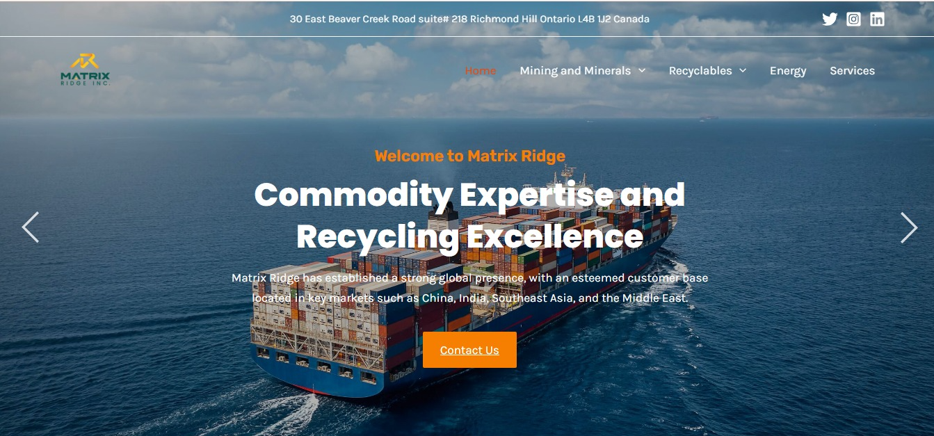 website Project
